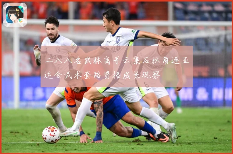 二八八名武林高手云集石林角逐亚运会武术套路资格成长观察