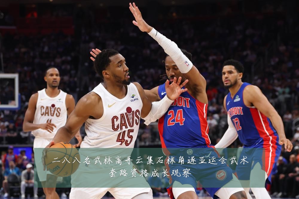 二八八名武林高手云集石林角逐亚运会武术套路资格成长观察